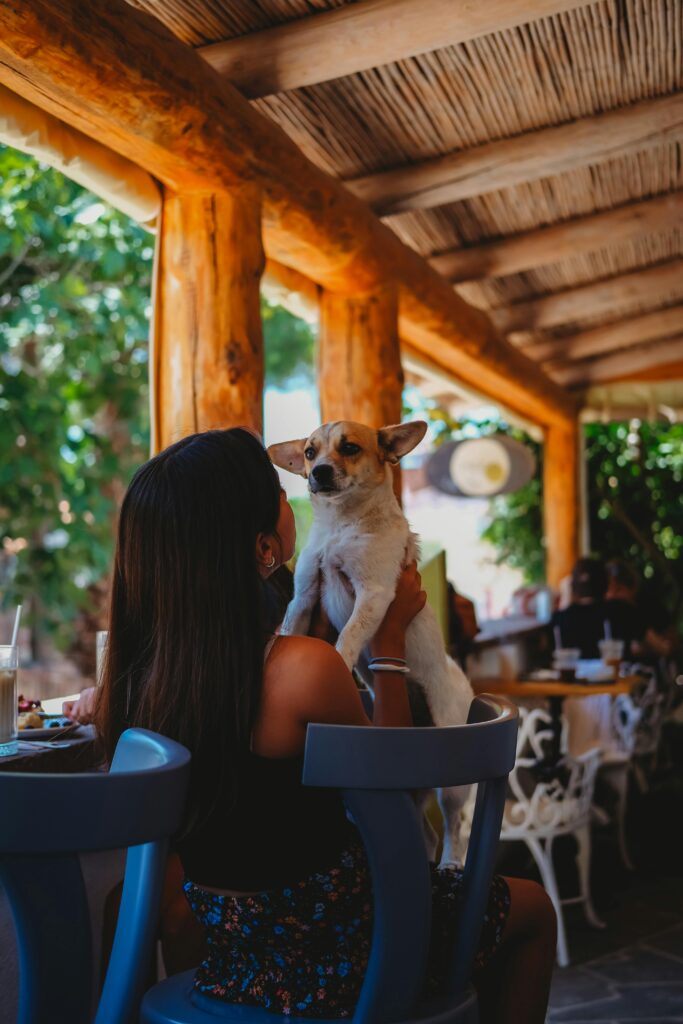 a woman hugging her dog in a restaurant