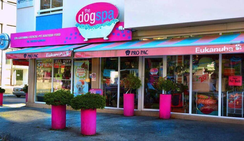 veterinary clinic Limassol Cyprus