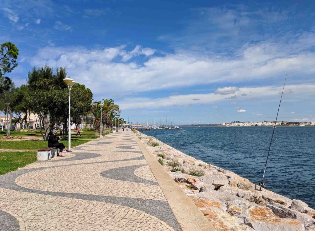 Molos Limassol promenade palm trees sunset